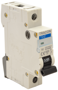 Istič, 1P, charakteristika B